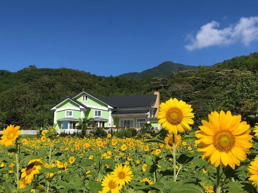 Canaan Beauty Farm B&B Чънгун Екстериор снимка